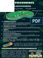 1,2 Infografía, Cuadro Biología