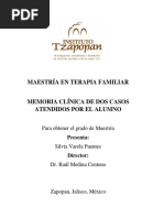 Terapia Familiar Memoria Clinica de Dos PDF