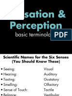 Sensation & Perception: Basic Terminology