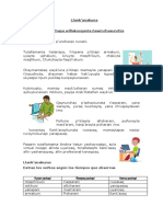 1 - Verbos Comprensión y Producción de Textos.