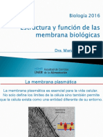 Tema 3 Membrana Plasmatica Estructura Funcion