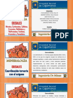 Oxisales PDF