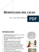 Beneficiado Del Cacao RCPP