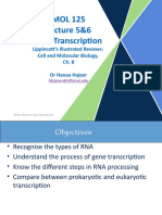 MOL 125 Lecture 5&6 RNA Transcription: Lippincott's Illustrated Reviews: Cell and Molecular Biology, DR Hanaa Hajeer