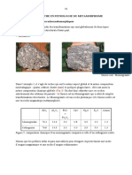 Cours Métam. Chap - III Démarche en Pétrologie Des Roches Métamorphiques