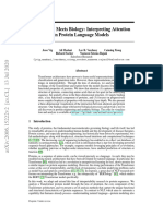 Bertology Meets Biology: Interpreting Attention in Protein Language Models