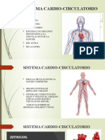 5 - 1 Cardiocirculatorio Corazon I