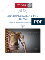 ANATOMÍA GENERAL Y DEL TRONCO (Modificado) PDF