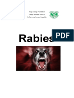 Rabies HE Final