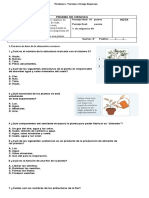 Prueba Deestructura de La Planta