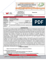 Informe de Cemento y Ligamento Periodental