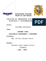 Informe Final 1