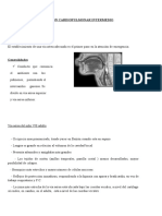 Manual RCP Intermedio