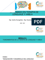 Clase 2 Modulo 2 Diplomado Terapia de Lenguaje 26 Julio 2020