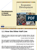 Introducing Economic Development: A Global Perspective