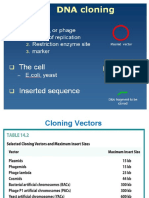 3 B DNA Cloning and Vectors