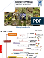 Généralités Sur Les Métazoaires