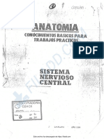 8 - Cerezo. Anatomia. Sistema Nervioso Central