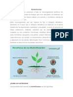 Biofertilizantes