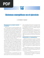 1 Sistemas Energéticos en El Ejercicio