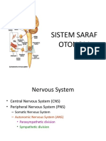 Sistem Saraf Otonom