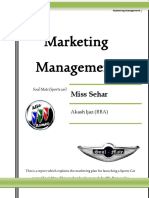 Marketing Plan Car PDF