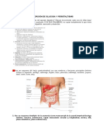 CAD Peristaltismo 