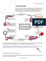 Feedback Loops: Glucose and Glucagon: Name: - Ishaan Singh