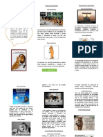 Folleto Manejo y Resolucion de Conflictos