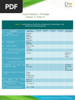 Anexo 3 - Paso 5