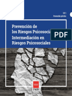 Prevencion de Los Riesgos Psicosociales