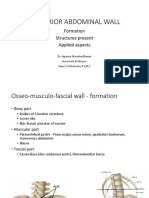 Posterior Abdominal Wall