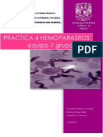 2752 Eq7 Hemoparasitos