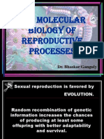 Molecular Biology of Reproductive Processes