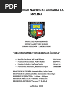 Informe 3 Geologia - Rocas Igneas