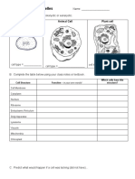 Organize Your Organelles WKST