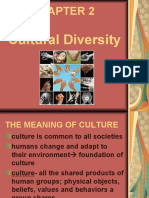 Cultural Diversity