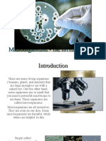 Microorganisms - The Invisible World