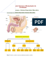 Reprodução Humana e Manipulação Da Fertilidade