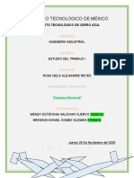 Proyecto Diagrama Bimanual