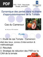 FAO FLW Cameroun Jun16 - Douala