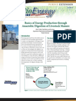 Nergy: Basics of Energy Production Through Anaerobic Digestion of Livestock Manure