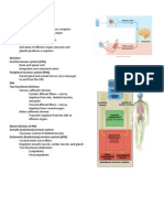 Nervous Tissues Handouts