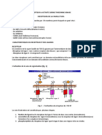 Recepteur A Activite Serine Threonine Kinase