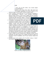 Pragas e Doencas PDF