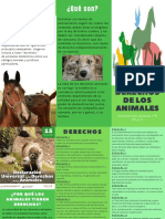 Derechos de Los Animales