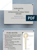 Dura Mater & Cranial Sinus