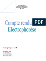 3 Electrophorese V