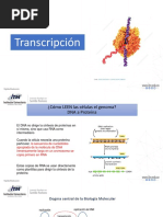 Transcripción PDF