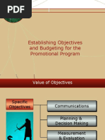 Establishing Objectives and Budgeting For The Promotional Program